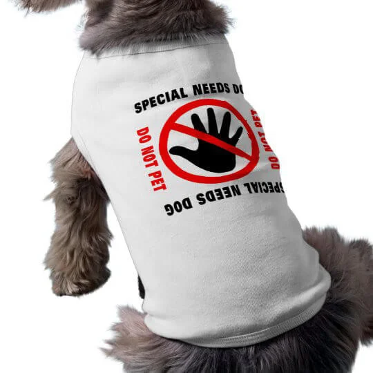 camiseta para perros pequeños
